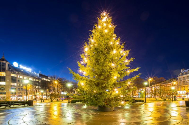 ᐅ Christmas Tree Lighting Guide 2023 › Christmas America